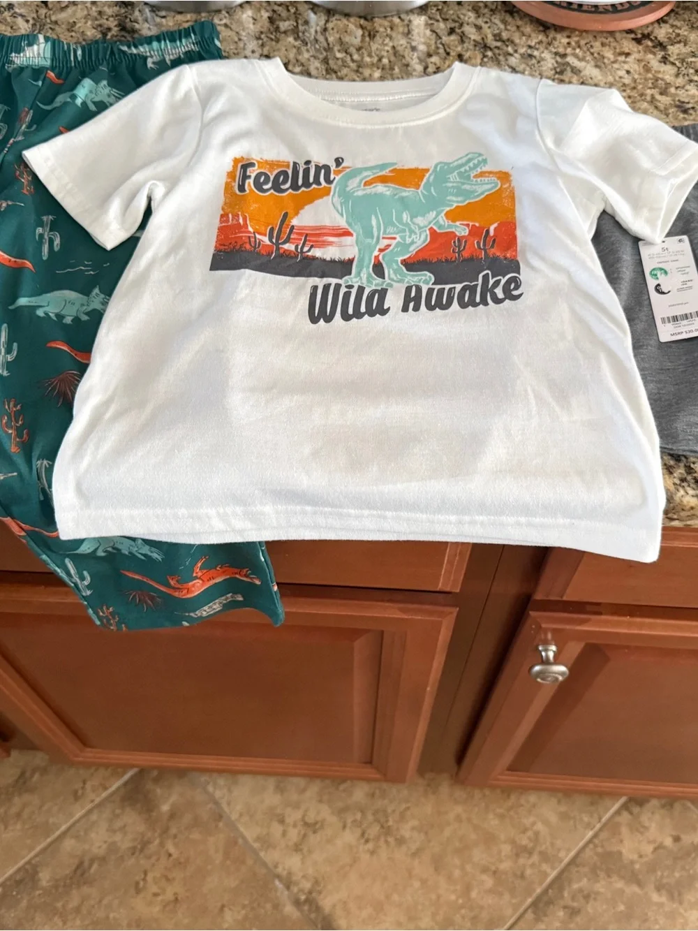Carter's White Tee & Teal Dinosaur Pajama Set
